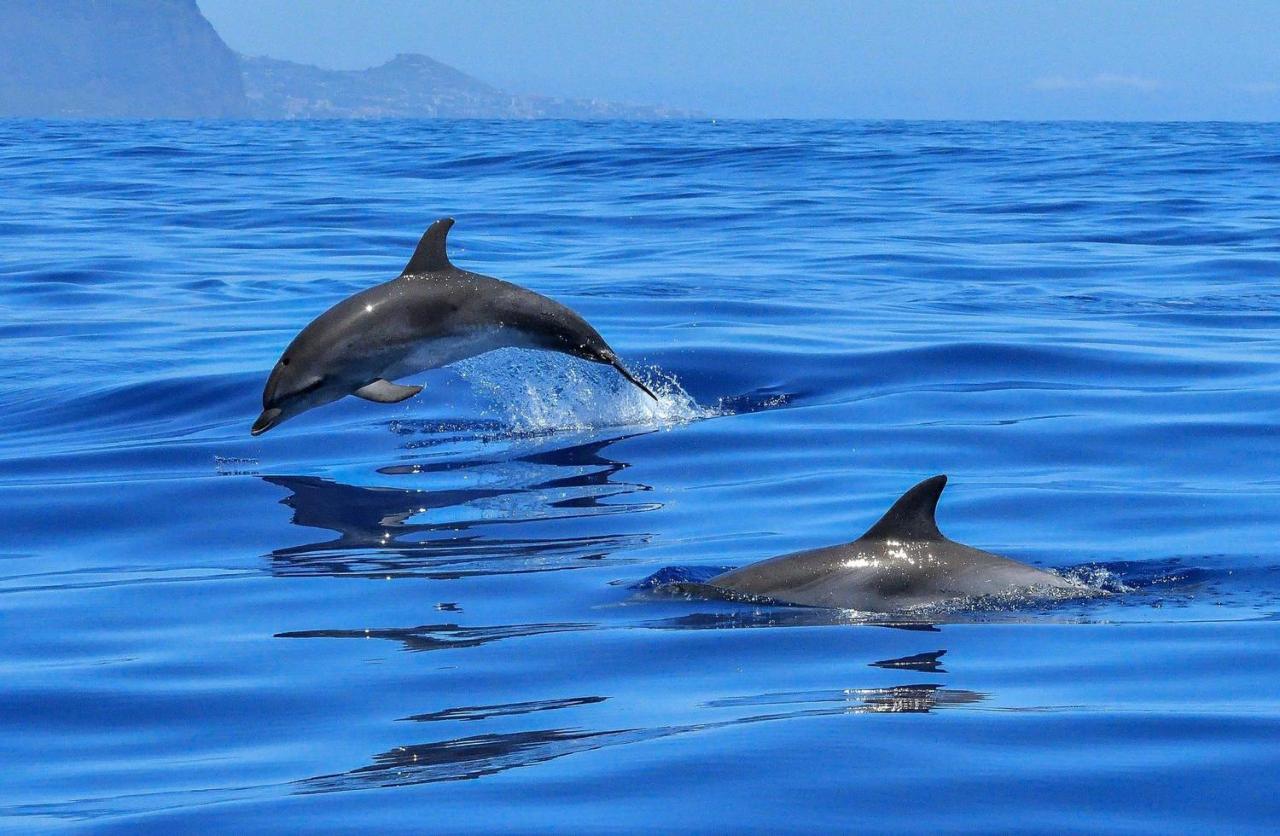 Apartamento Incleibles Vistas Al Oceano Y Piscina. Acantilado de los Gigantes ภายนอก รูปภาพ